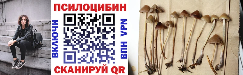 Псилоцибиновые грибы мухоморы  Цимлянск 